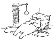 Фотография Zhukova Nastya