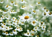 Анна Смолина фотография #45 (источник - https://vk.com/id615881)