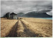 Дмитрий Соснин фотография #31 (источник - https://vk.com/id2698364)