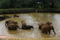 Даша Дашина фотография #7 (источник - https://vk.com/id2891457)