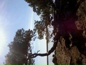 Дмитрий Крамарев фотография #50 (источник - https://vk.com/id274882)