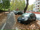 Адріан Продан фотография #18 (источник - https://vk.com/id11792970)