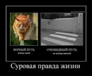 Сергій Курилюк фотография #49 (источник - https://vk.com/id134005329)