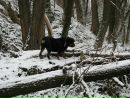 Ігор Панасенко фотография #28 (источник - https://vk.com/id30625196)