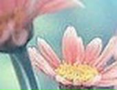 Наталія Цемах фотография #17 (источник - https://vk.com/id100687082)