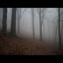 Фотография Рехтиной Лилии