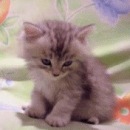 Андрій Мостовий фотография #20 (источник - https://vk.com/id55877714)