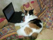 Фотография Старостиной Полины