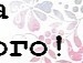 Юлічка Ніверська фотография #5 (источник - https://vk.com/id137067439)