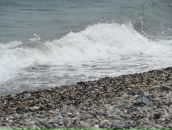 Иван Гришин фотография #49 (источник - https://vk.com/id3192283)