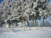 Міша Симонович фотография #10 (источник - https://vk.com/id112931560)