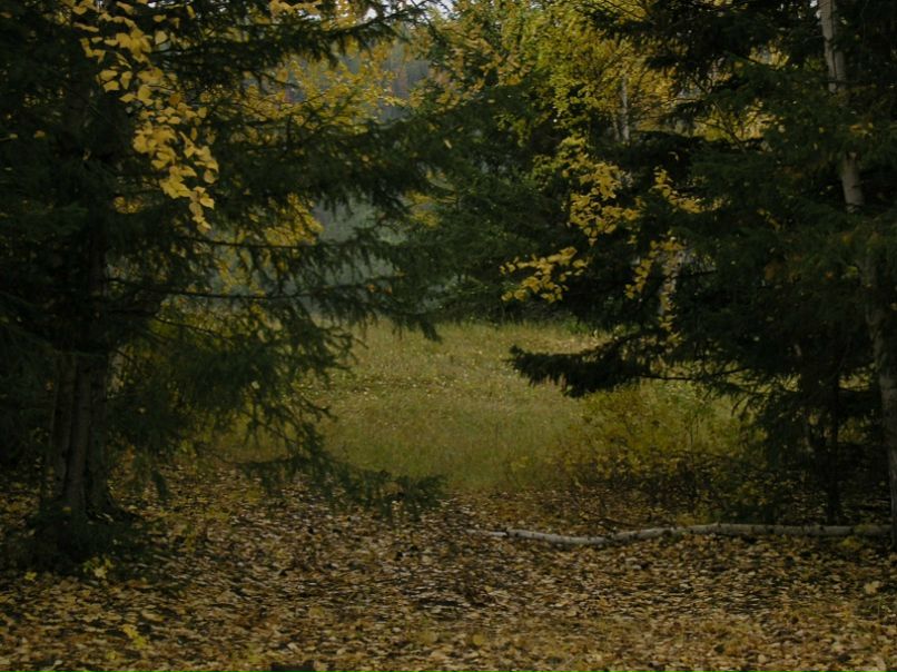 Алгыс Иванов фото №33