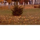 Ліля Гончар фотография #23 (источник - https://vk.com/id63565846)