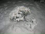 Віталік Гуменний фотография #38 (источник - https://vk.com/id50772117)