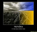 Діма Бабенко фотография #47 (источник - https://vk.com/id160449026)