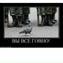 Евгеній Сидорець фотография #49 (источник - https://vk.com/id164315019)