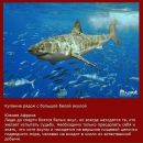 Антон Шадрин фотография #17 (источник - https://vk.com/id1088974)