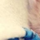 Вікторія Попадинець фотография #43 (источник - https://vk.com/id141806600)