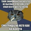 Мария Мищенко фотография #29 (источник - https://vk.com/id16581986)