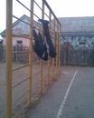 Віталя Політай фотография #7 (источник - https://vk.com/id151107945)