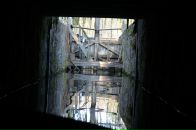 Соломія Скорик фотография #27 (источник - https://vk.com/id6372863)