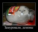 Денис Волков фотография #47 (источник - https://vk.com/id188354)
