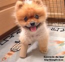 Ростик Горохівський фотография #12 (источник - https://vk.com/id167868969)