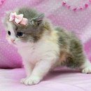 Мартуся Лісович фотография #1