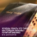 Яна Твердохлібова фотография #50 (источник - https://vk.com/id61292774)