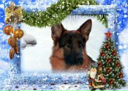 Фотография Симоновой Марины