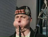 Фотография Tuiouio Tiiuou