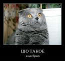 Іван Ващак фотография #11 (источник - https://vk.com/id169281520)