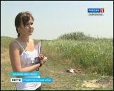 Ульянушка :) фотография #7 (источник - https://vk.com/id22092879)