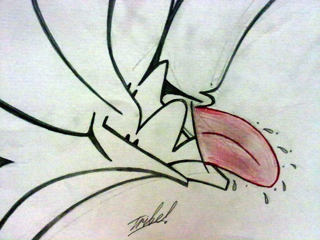 Кирилл Никитин фотография #10