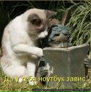 Фотография Павловны Ольги