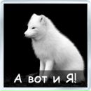 Денис Корнев фотография #21 (источник - https://vk.com/id768116)