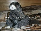 Ольга Иванова фотография #20 (источник - https://vk.com/id6002168)