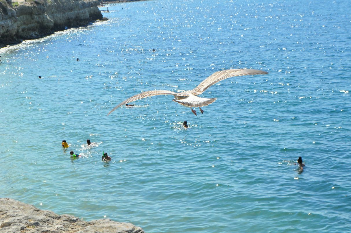 Антон Антонов фотография #45