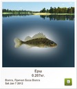 Катя Семенів фотография #17 (источник - https://vk.com/id150644712)