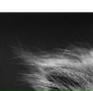 Олеся Матвійчук фотография #17 (источник - https://vk.com/id50923906)