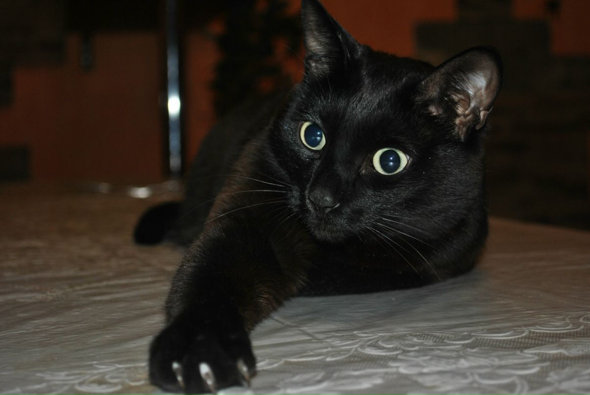 Дарья Столяр фотография #48