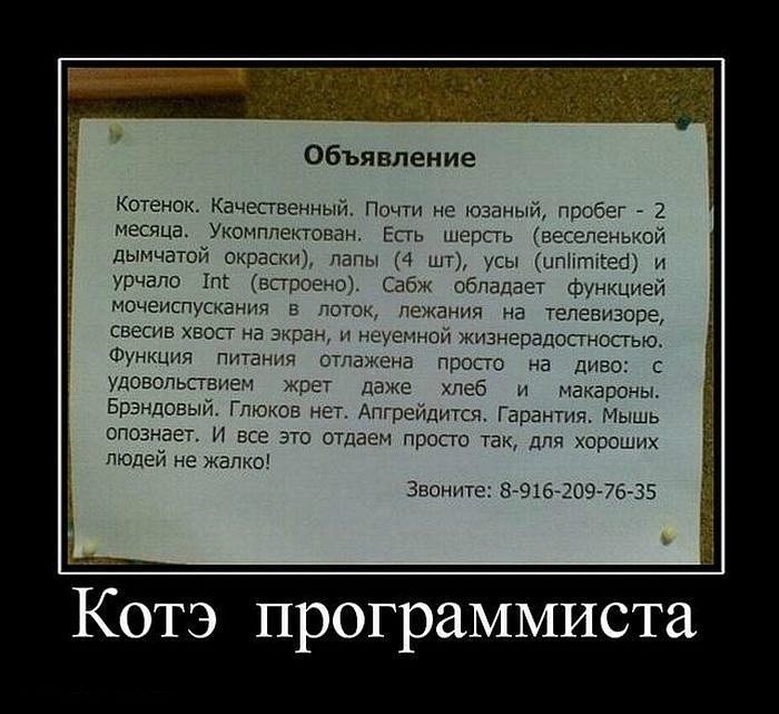 Дмитрий Гончаров фотография #10