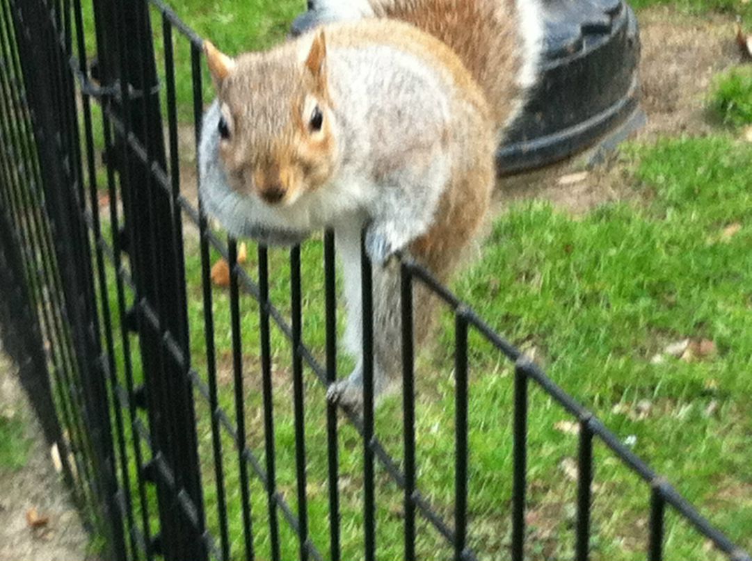 Далида Абдулаева фотография #26