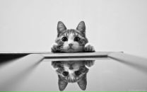 Фотография Хижняковой Ольги