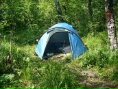 Роман Балов фотография #43 (источник - https://vk.com/id348393)