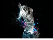 Фотография Шагуты Сергея