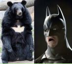 Сергій Перун фотография #43 (источник - https://vk.com/id9659900)