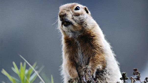 №8, Александр Парамов №8, Александр Парамов