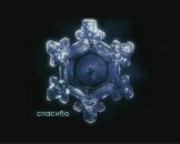 Фотография Сонцевой Надежды