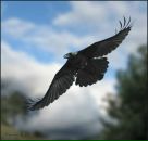 Фотография Воронова Сергея